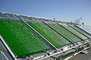 1 SolarConverter ­system in operation at the pilot plant in Leander, Texas/USA