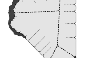 3 Formation of isolated clusters of the intermediate phase (here designated as C-S-H) on the surface of the C3S particles immediately after contact with water [11]