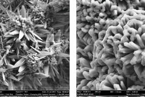 3a SEM micrograph of the outer rust layer from a corroded ESP plate (flaky crystals)3b SEM micrograph of the outer rust layer from a corroded ESP plate (rod-like crystals)