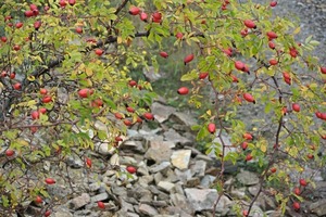 At the quarry