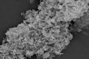 1 Well developed prismatic ettringite crystals observed after hydration of a CSA cement paste