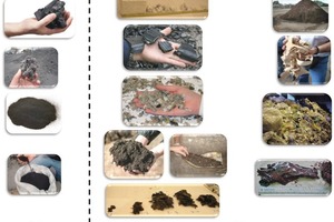 1 Examples of (a) gross and prepared traditional fuels and (b) alternative solid fuels that are usually found in cement plants