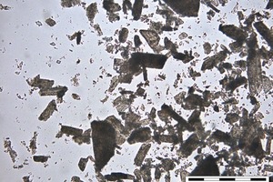 2 β-HH in water