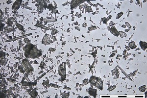 6 α-HH in water