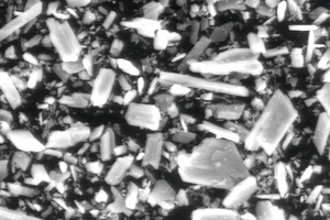 10 β-HH