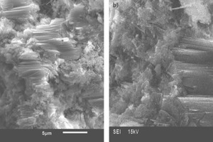 4 SEM images of 28 day hydrated (a) PPC and (b) COM-2