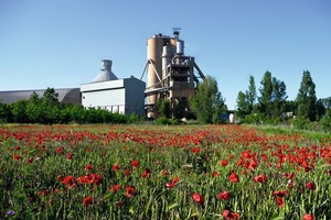 17 Toral de los Vados cement plant