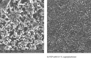 4 ESEM images of the FCPs 5 min after mixing [16]