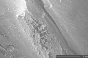 2 The dihydrate gypsum crystals in the microcracks of the particles of the initial gypsum binder [1]