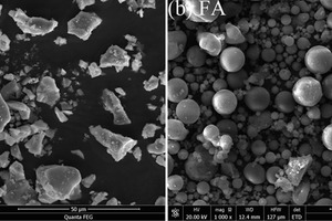 3 SEM images of PC and FA