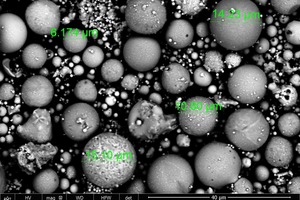 SEM image of FA