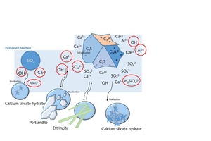 1 Reactions in the early phase of cement hydration