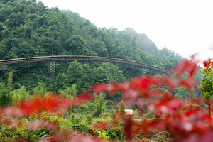 1 Sichuan project: Whenever technically possible, the routing of the conveyor has been adapted to the topography