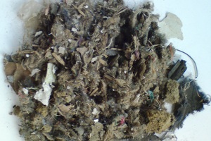 10 Shredder fluff