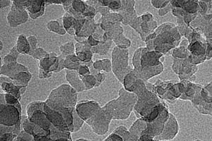 3 TEM image of NS