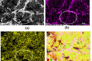 2 X-ray dot maps of Al (a), Fe (b), Mg (c) along with their composite mapping (d)