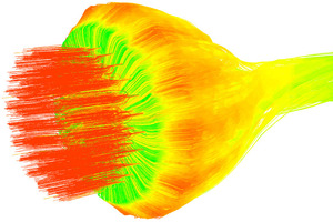 8 The gas streamlines from the central air