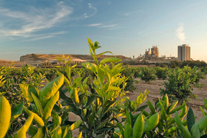 Alicante plant in Spain