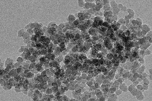 3 TEM image of NS
