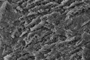 1 Formation of C-A-S-H phases during the pozzolanic reaction of calcined clay
