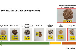 1 Biomass spectrum