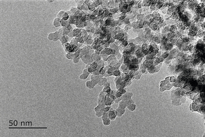 (c) TEM image of NS