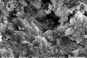 8 SEM images of paste samples under different conditions(a) CSA0-5% Na2SO4