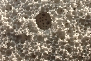 6 Fracture surface of hardened foam gypsum sample with visible pore size distribution. (Image length approx. 9 cm)